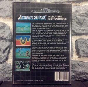 Altered Beast (3)